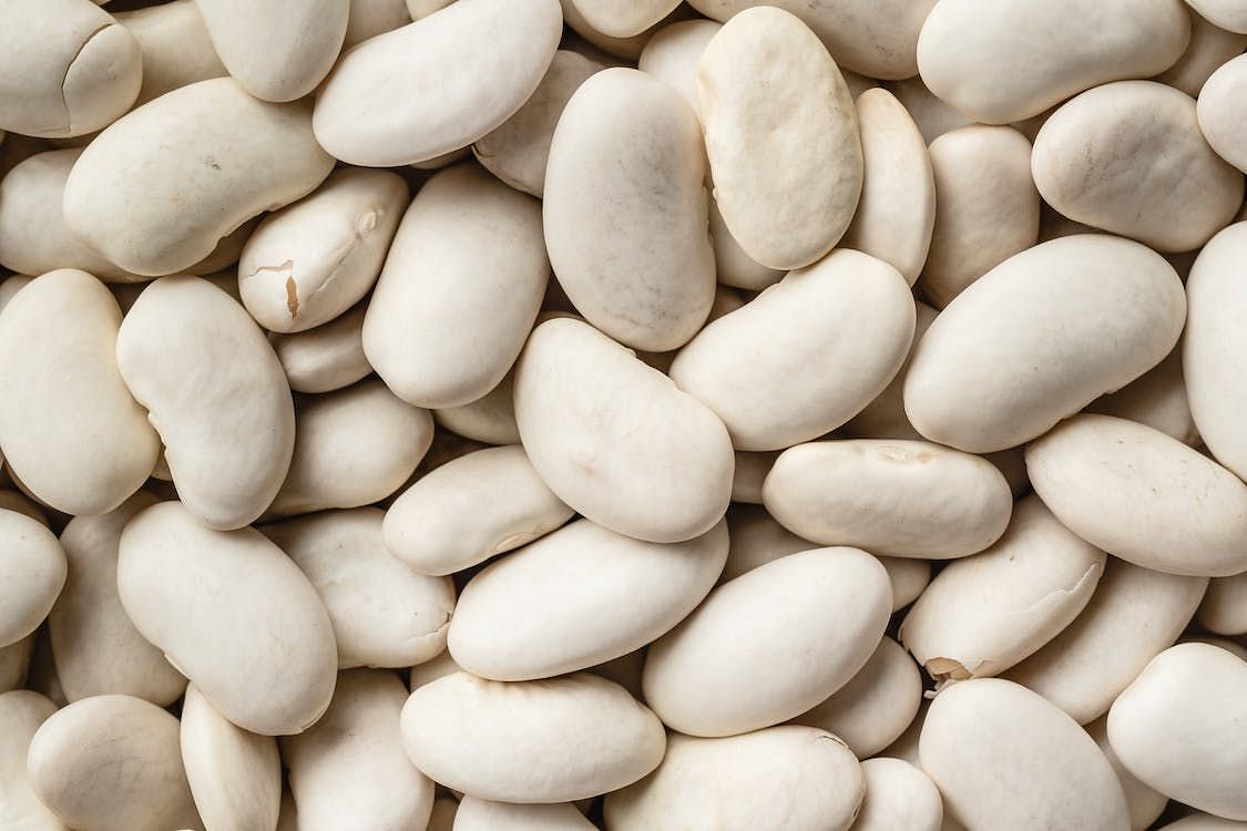 Cannellini beans, high dietary fiber content provides a number of benefits for managing weight, including (Marina Leonova Pexels)